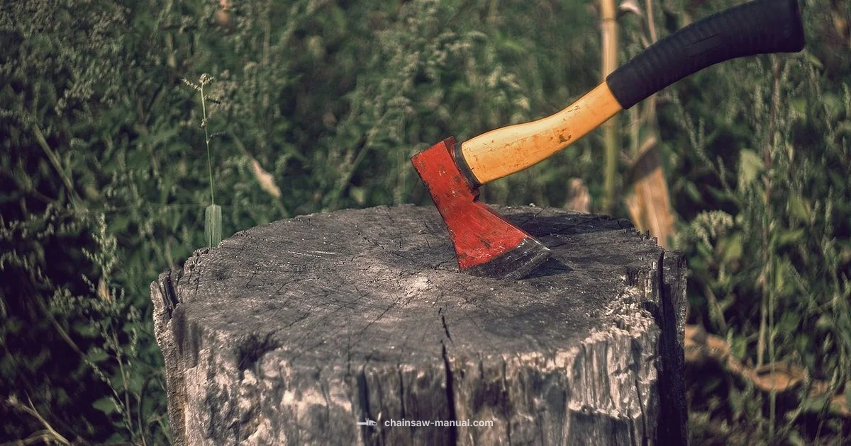 Power Axe 350i Guide - Chainsaw Manual