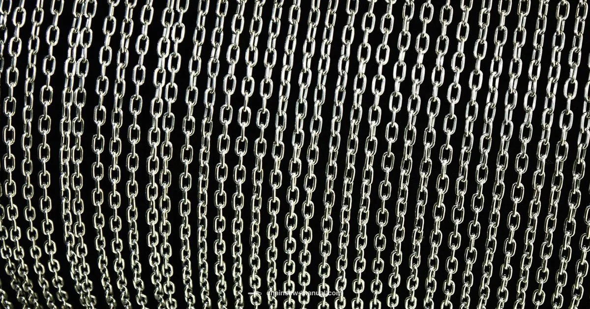 Right Chain Guide Right Chain Guide - Chainsaw Manual