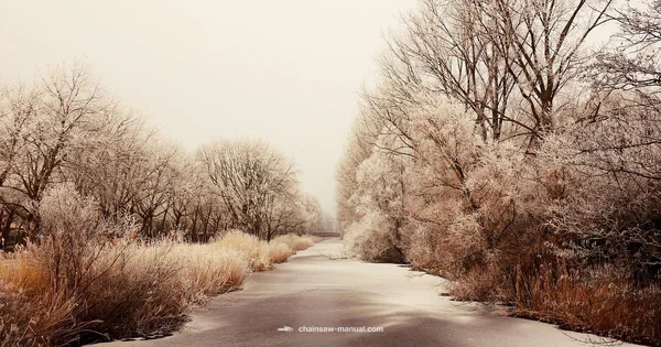 Frozen Wood Guide - Chainsaw Manual