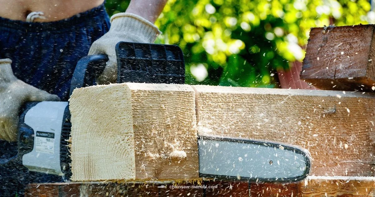 Safe Chainsaw Use Safe Chainsaw Use - Chainsaw Manual