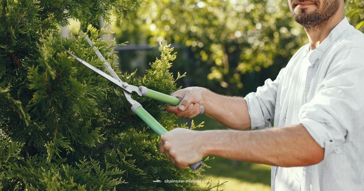 Pole Chainsaw Guide - Chainsaw Manual