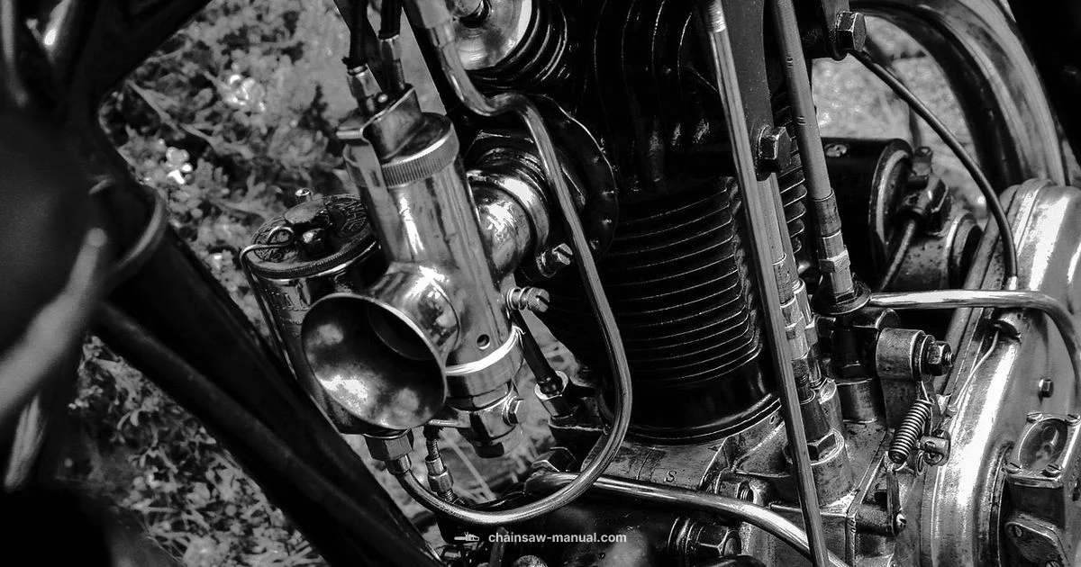 Carburetor Removal Guide - Chainsaw Manual