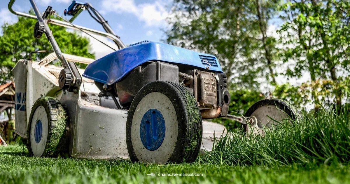 Bar Lifespan Guide - Chainsaw Manual