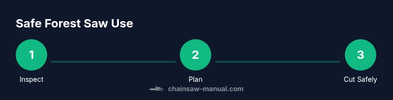 Process diagram of safe forest chainsaw use