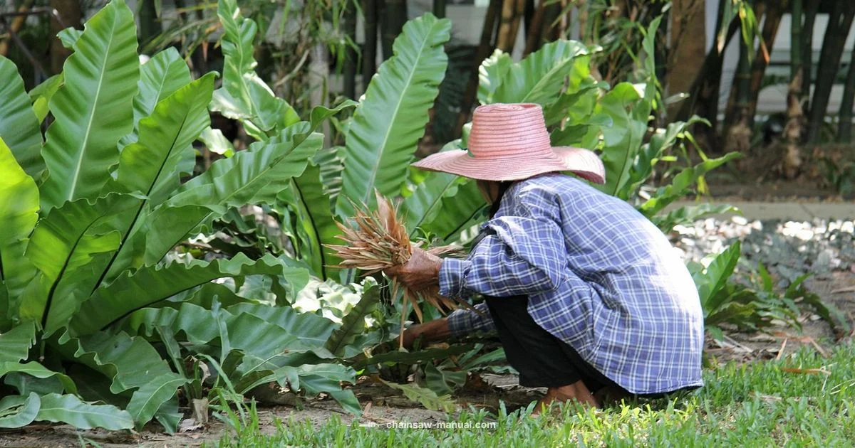 Compact Chainsaw Guide Compact Chainsaw Guide - Chainsaw Manual