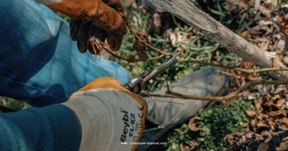 Single Hand Chainsaw Guide - Chainsaw Manual