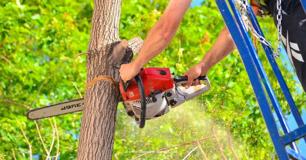 Chainsaw Days Guide Chainsaw Days Guide - Chainsaw Manual