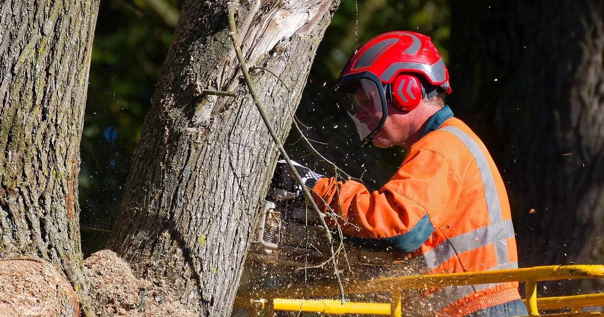 Chainsaw Safety Dance Chainsaw Safety Dance - Chainsaw Manual