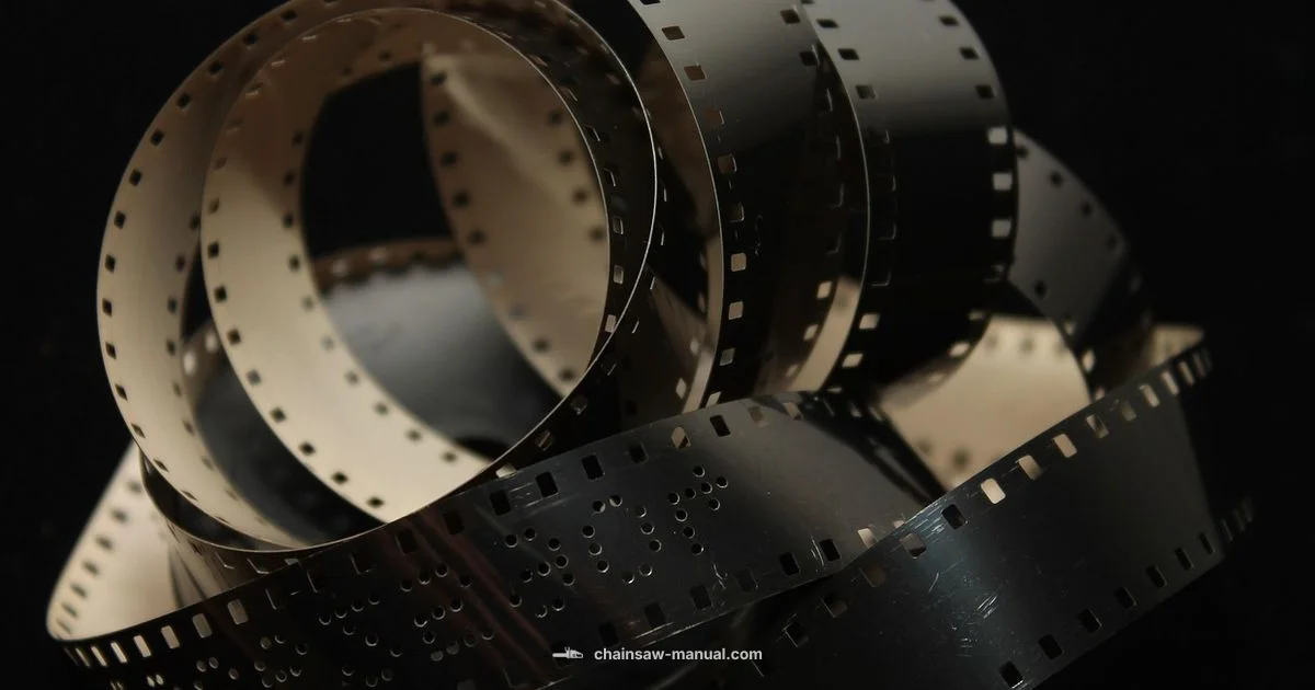 Texas Chain Saw Authors - Chainsaw Manual