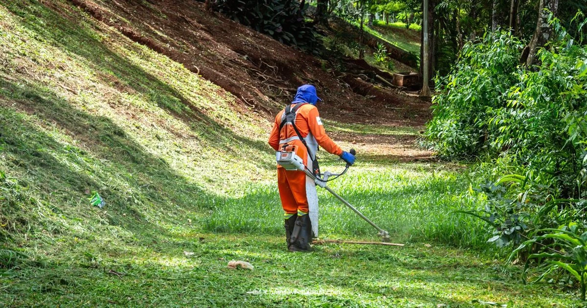Chainsaw Safety Guide - Chainsaw Manual