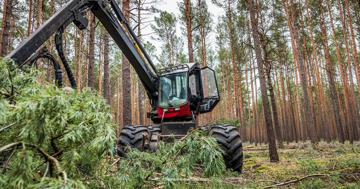Chainsaw Row Alternatives - Chainsaw Manual