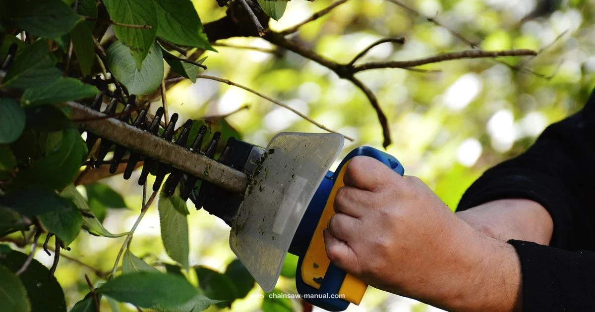 Hedge Trimmer Lubrication - Chainsaw Manual