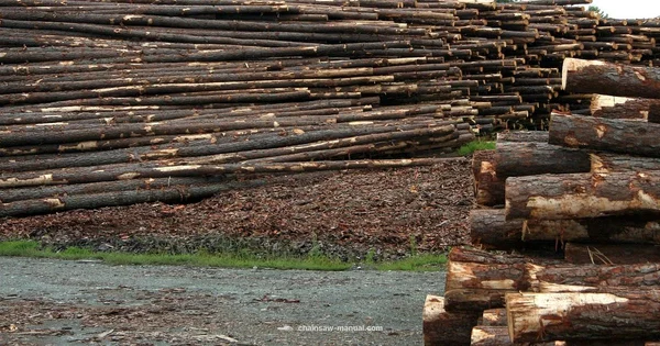 Alaskan Milling Essentials - Chainsaw Manual