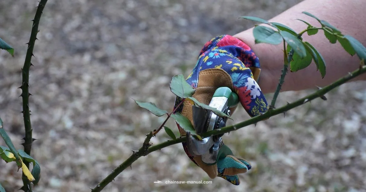 Chainsaw Bush Trim - Chainsaw Manual