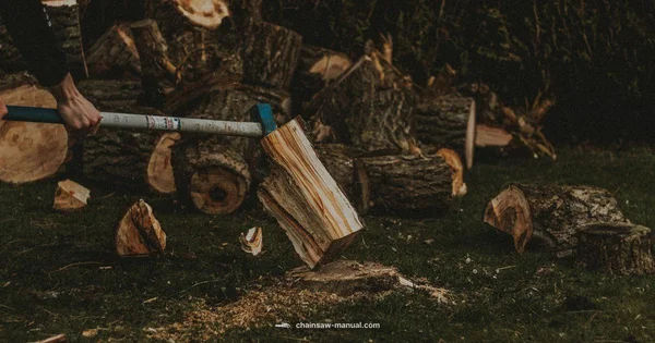 Skil Chainsaw Guide - Chainsaw Manual