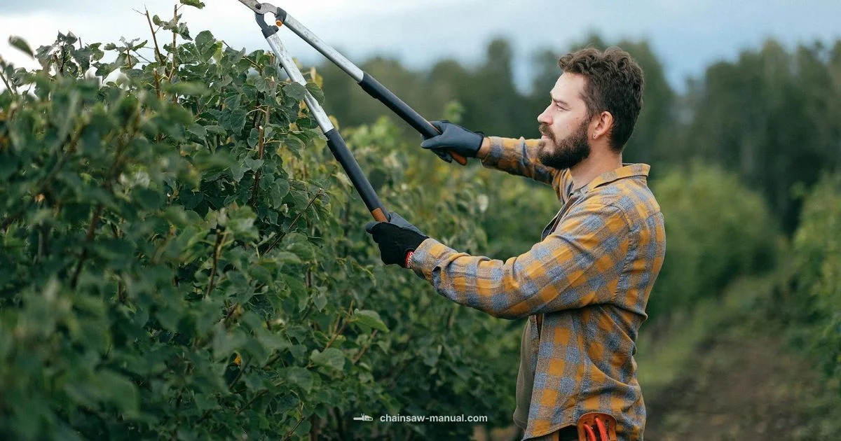 MS181 in Action - Chainsaw Manual