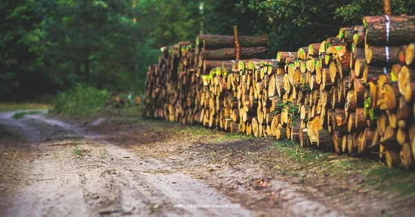 MS 660 Stihl Guide - Chainsaw Manual