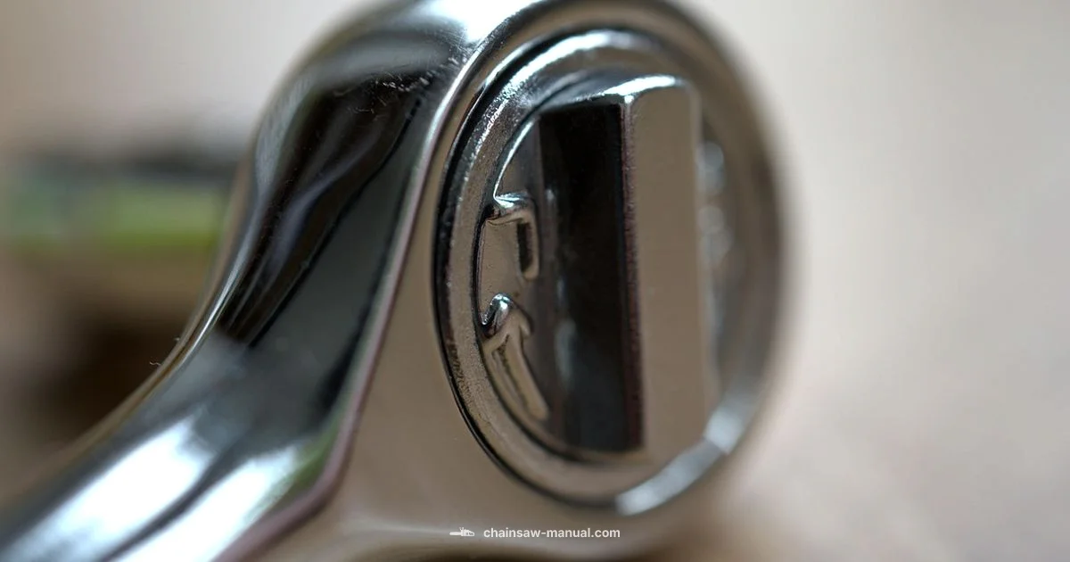 Lifespan Insights Lifespan Insights - Chainsaw Manual