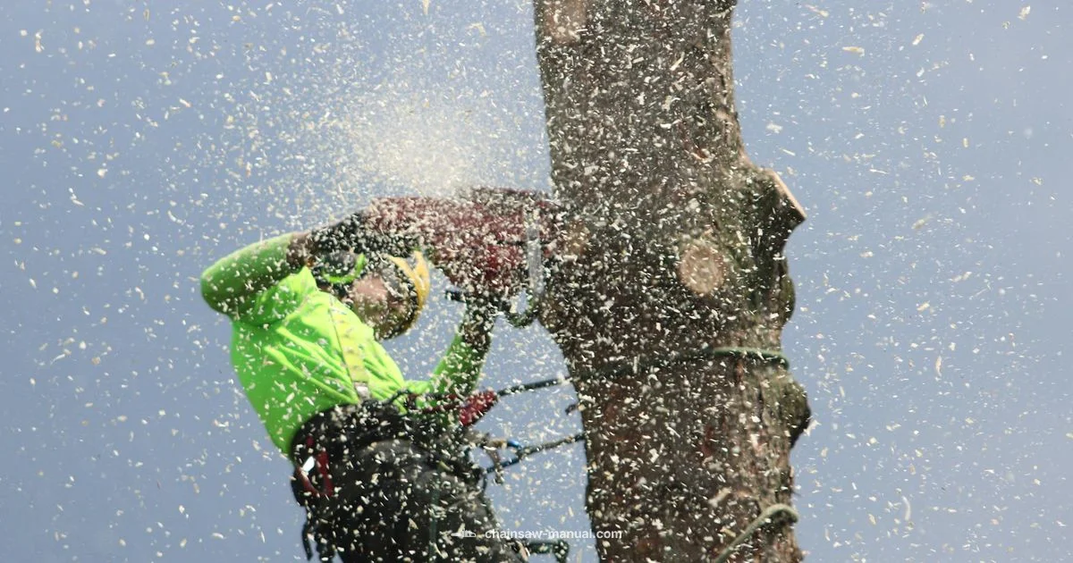 Best Home Chainsaw Best Home Chainsaw - Chainsaw Manual