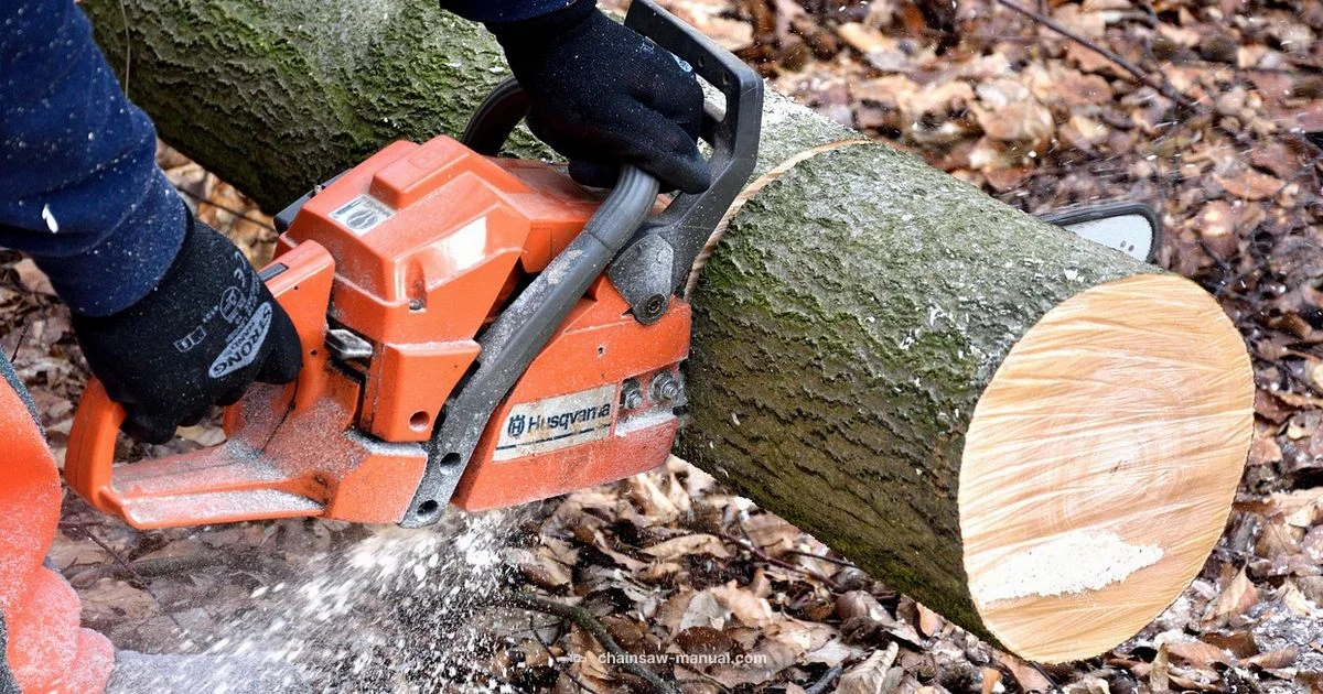 Chainsaw Cat Safety Chainsaw Cat Safety - Chainsaw Manual