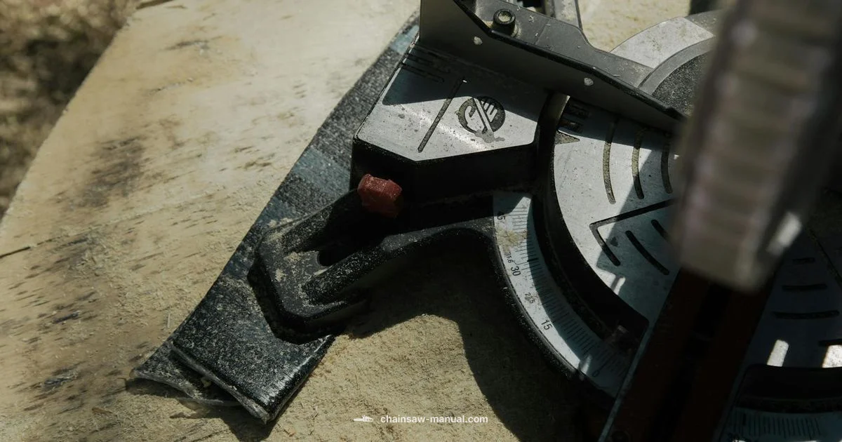 Chainsaw Uses Guide - Chainsaw Manual
