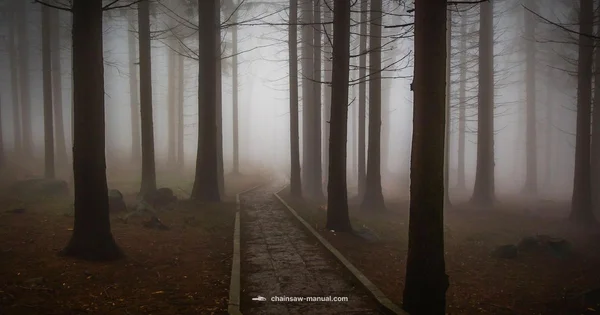 Wet Weather Chainsaw Safety - Chainsaw Manual