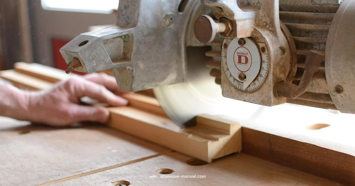 Chainsaw Terms Guide Chainsaw Terms Guide - Chainsaw Manual