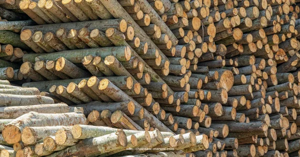 Milling Chain Guide - Chainsaw Manual