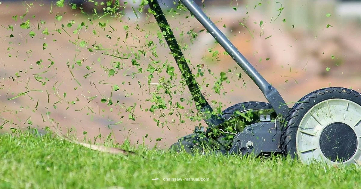 Homelite Chainsaw Guide - Chainsaw Manual