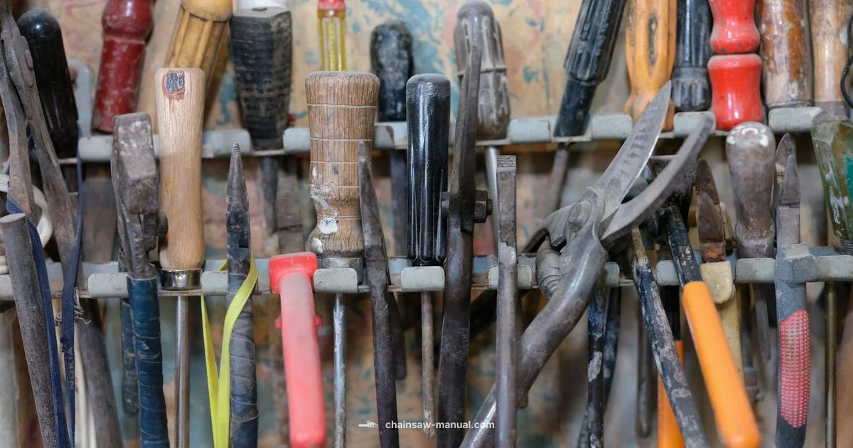 Chainsaw Maintenance Guide - Chainsaw Manual