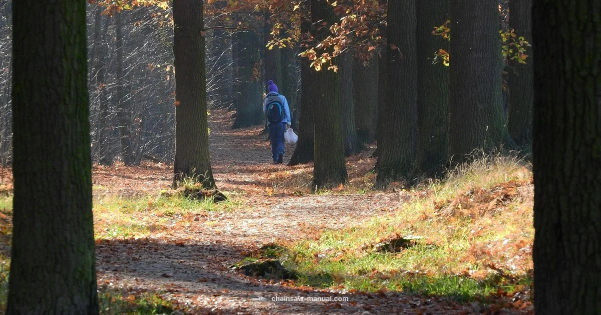 Celebrity Myths Debunked Celebrity Myths Debunked - Chainsaw Manual