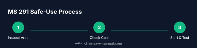 Infographic showing a three-step MS 291 safety and maintenance process