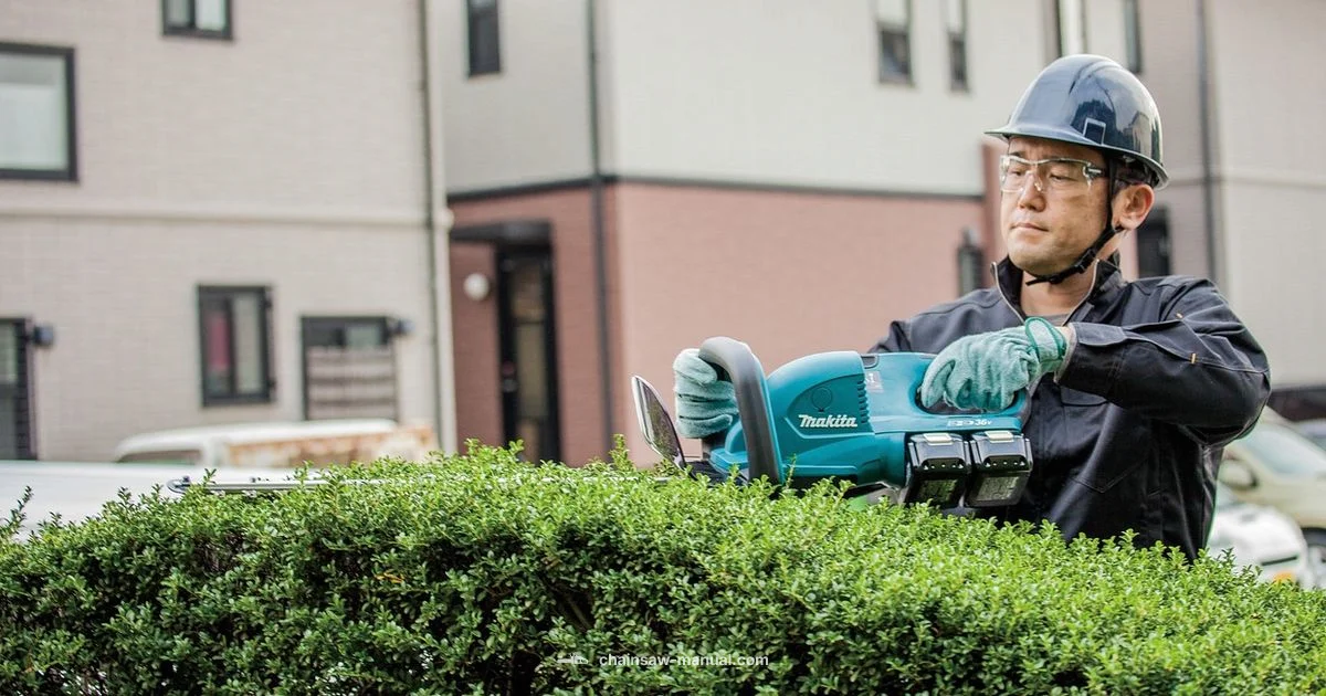 Chainsaw Safety for Large Trees Chainsaw Safety for Large Trees - Chainsaw Manual