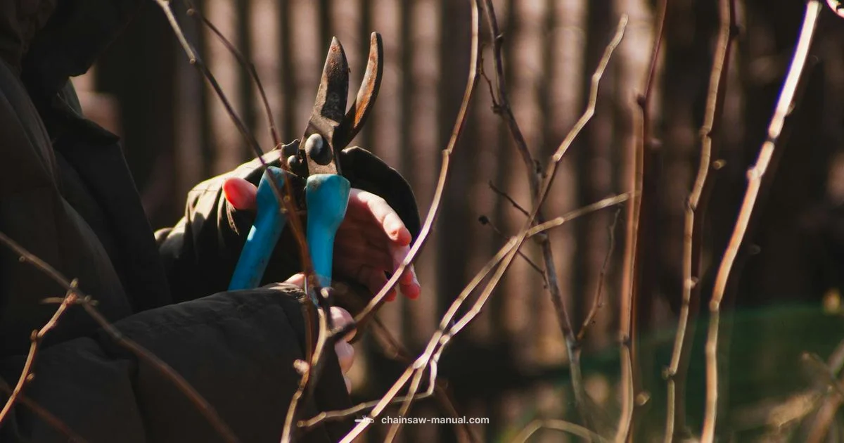 Dewalt 12 Inch Chainsaw Dewalt 12 Inch Chainsaw - Chainsaw Manual