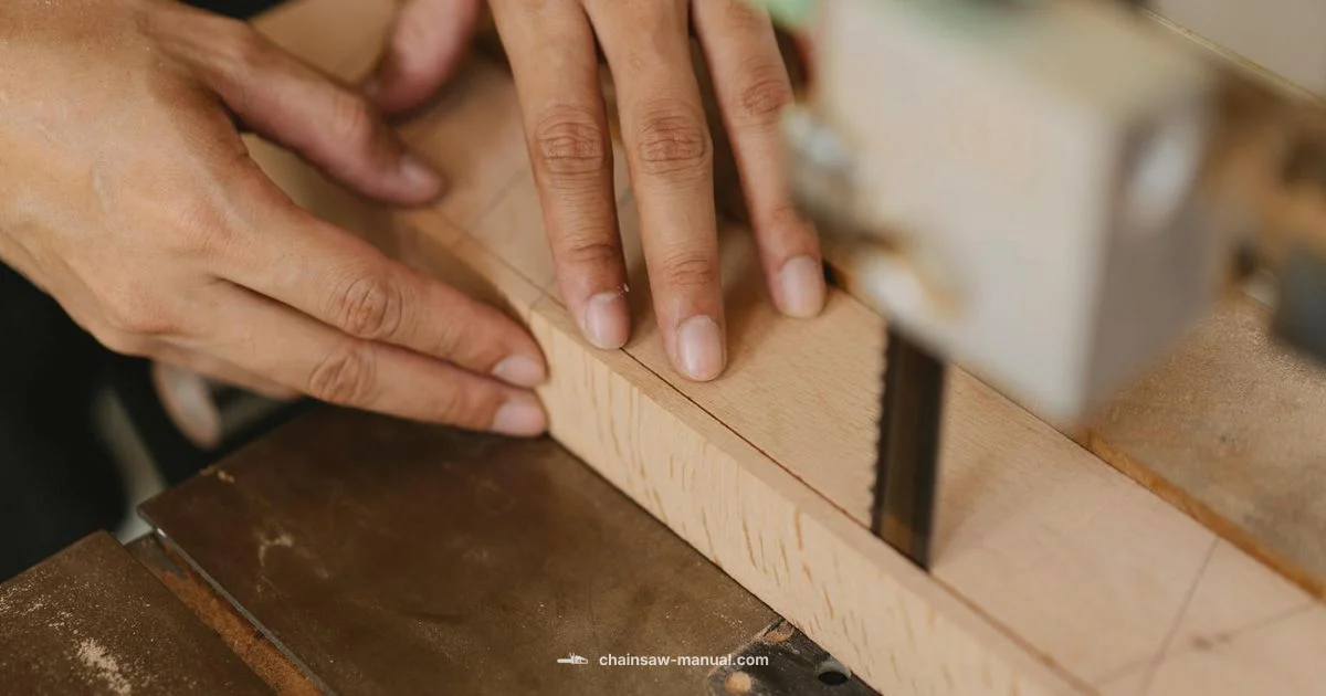 Chainsaw Chain Differences - Chainsaw Manual