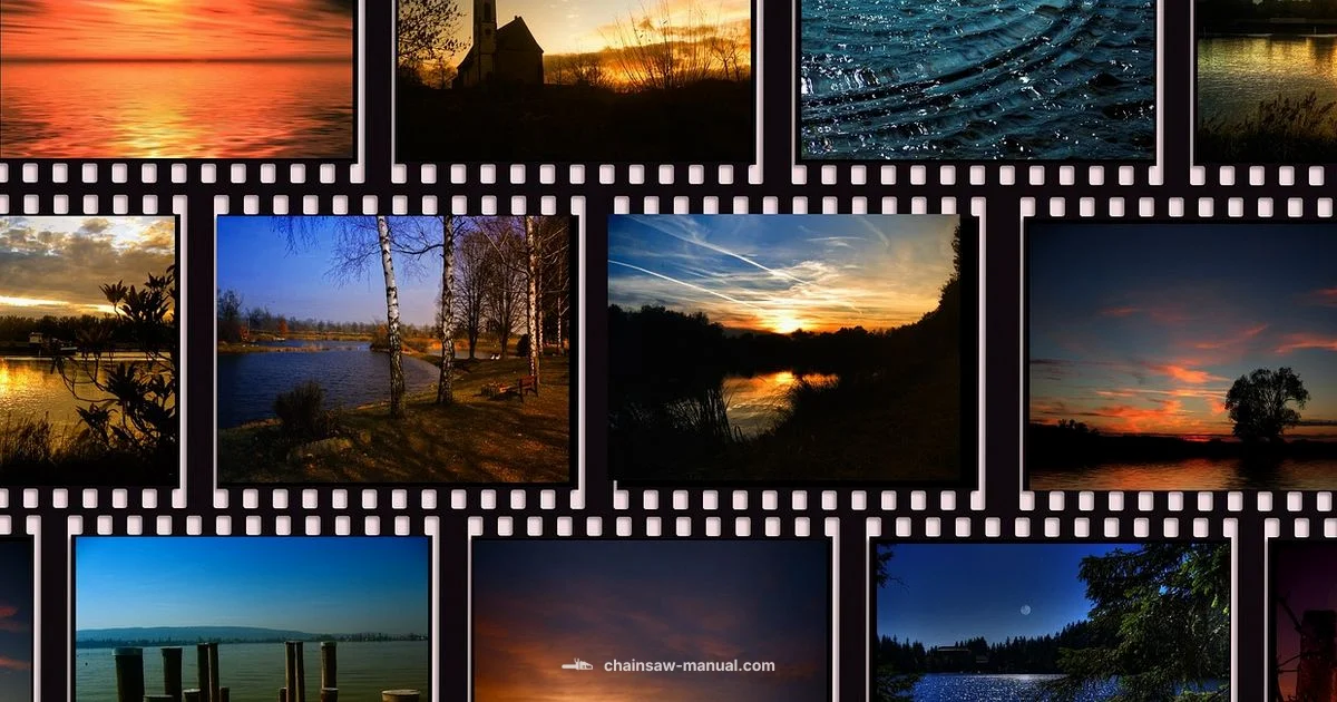 Chainsaw Massacre Guide Chainsaw Massacre Guide - Chainsaw Manual