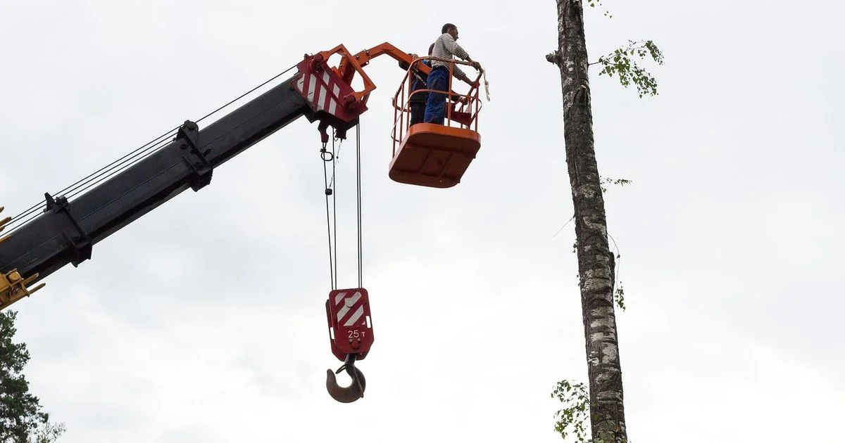 Best Chainsaw Brand Guide - Chainsaw Manual