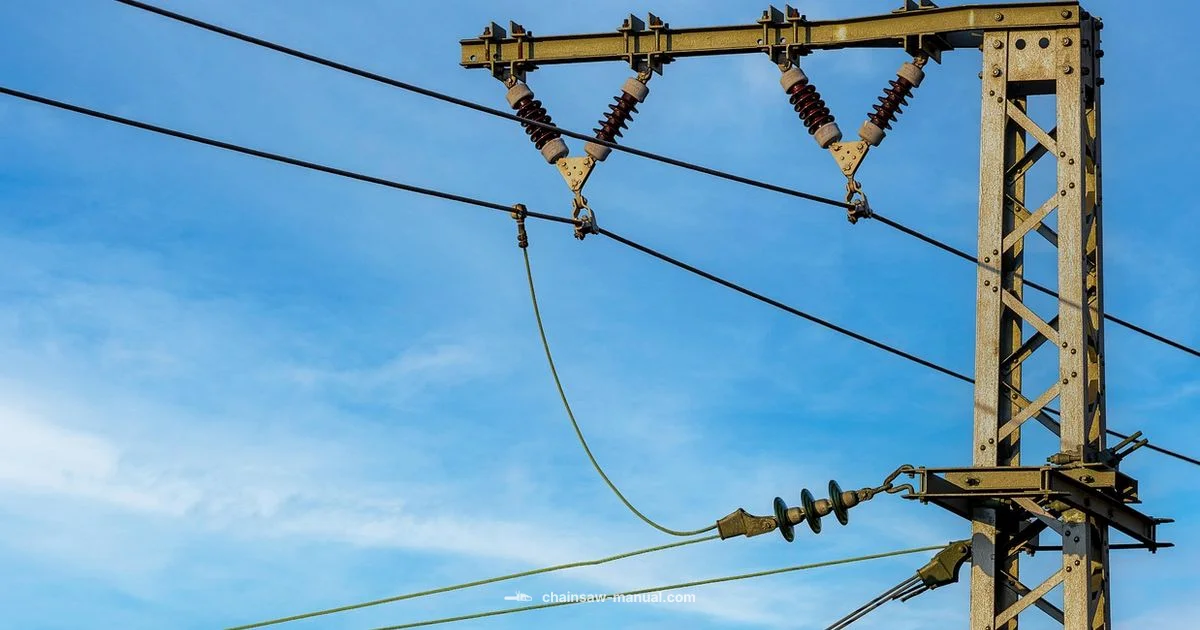 Pole Saw Safety - Chainsaw Manual