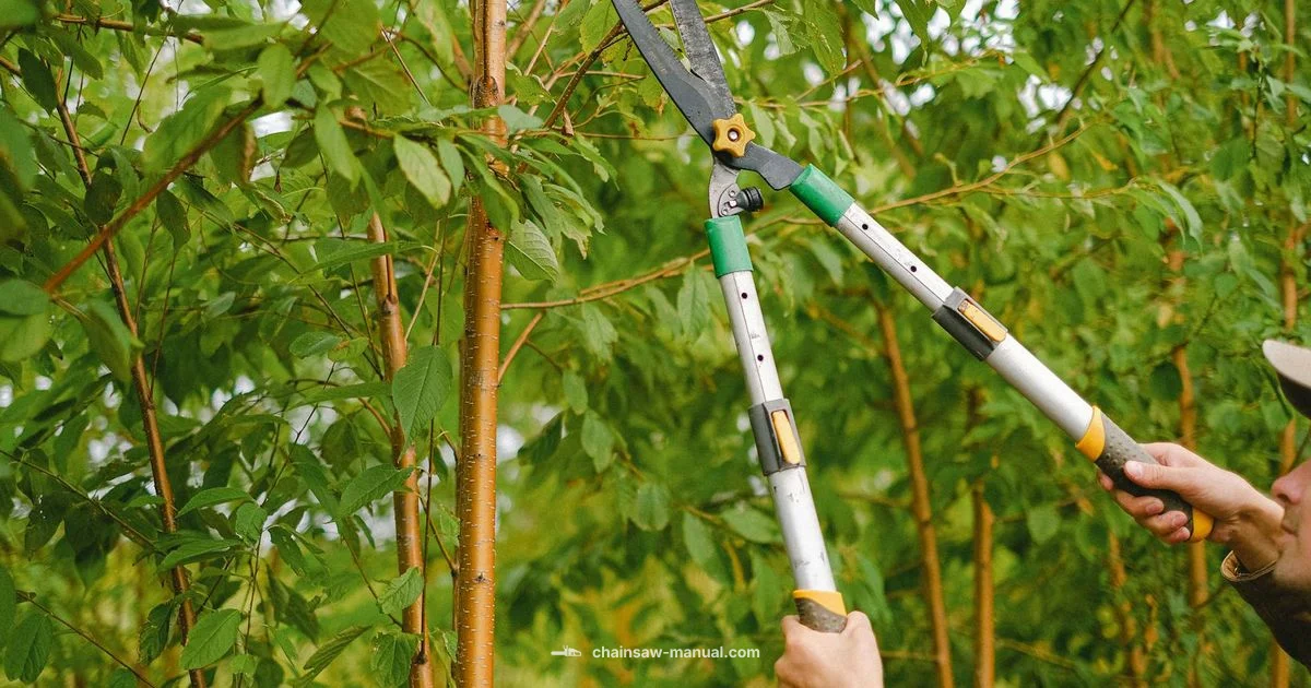 Top Handle Guide Top Handle Guide - Chainsaw Manual