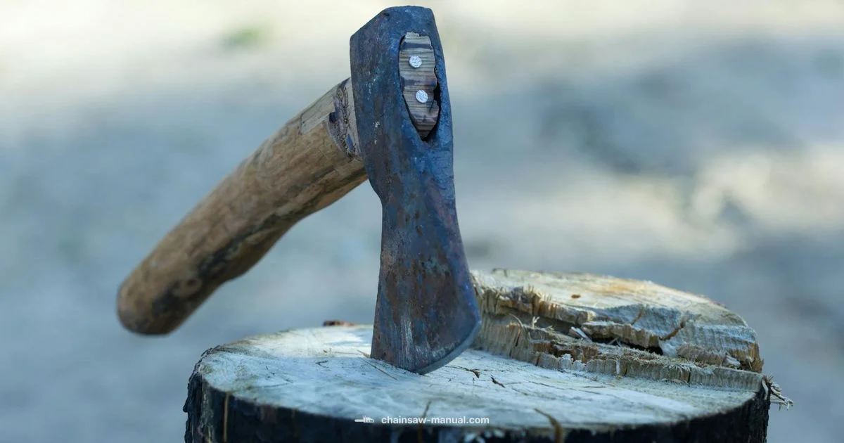 Chainsaw vs Auto Axe - Chainsaw Manual