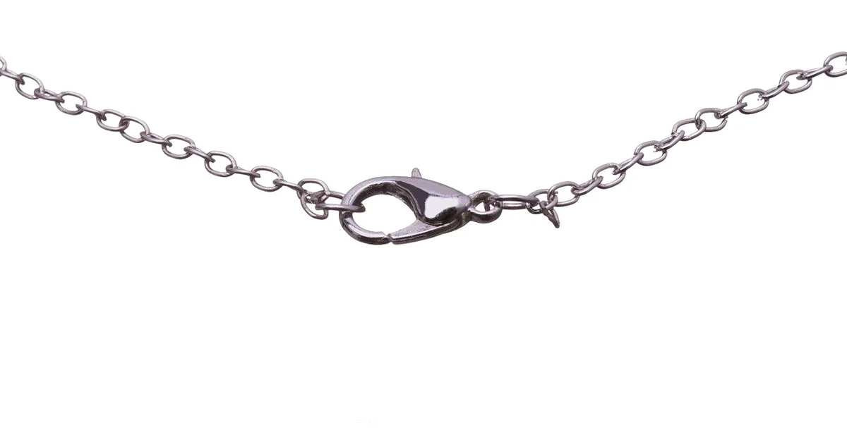 Interchangeable Chains - Chainsaw Manual