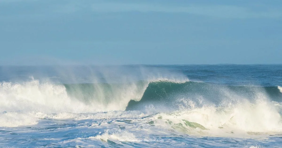 Oregon Bar Guide Oregon Bar Guide - Chainsaw Manual