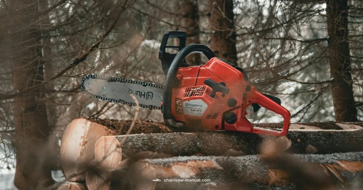 Chainsaw vs Axe Chainsaw vs Axe - Chainsaw Manual