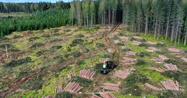 Fast Chainsaw Chains - Chainsaw Manual