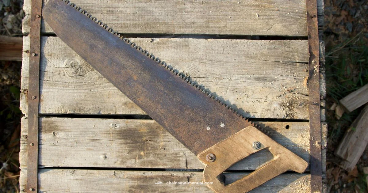 Chainsaw History Overview - Chainsaw Manual