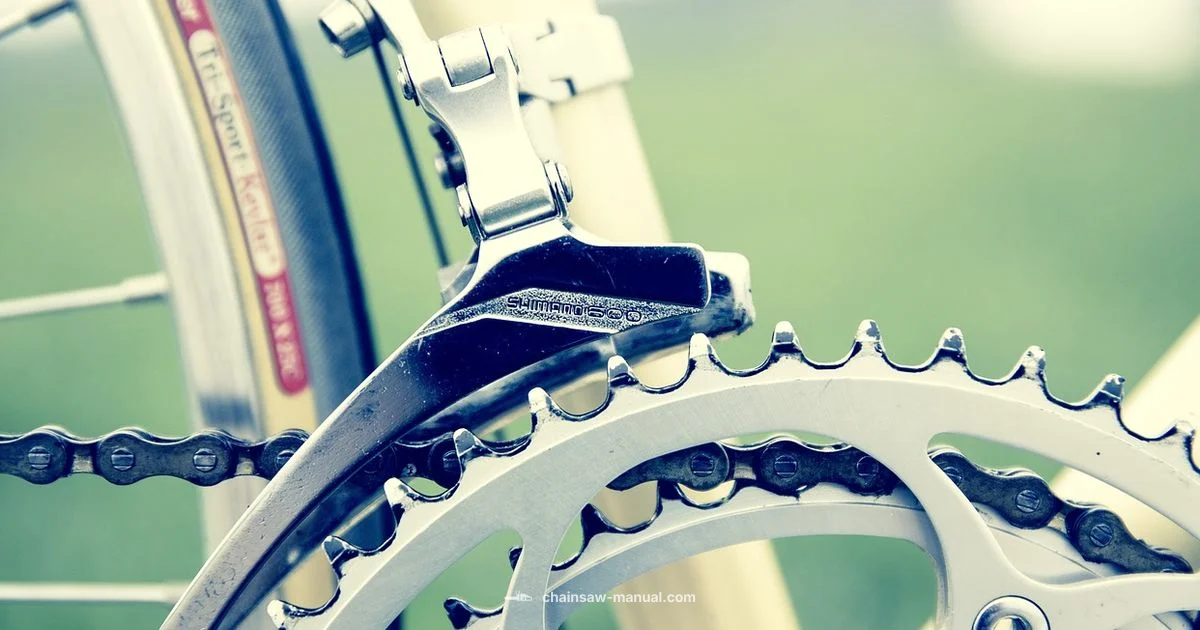 MS250 Chain Guide - Chainsaw Manual