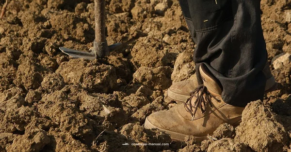 Safe Chainsaw Practice - Chainsaw Manual