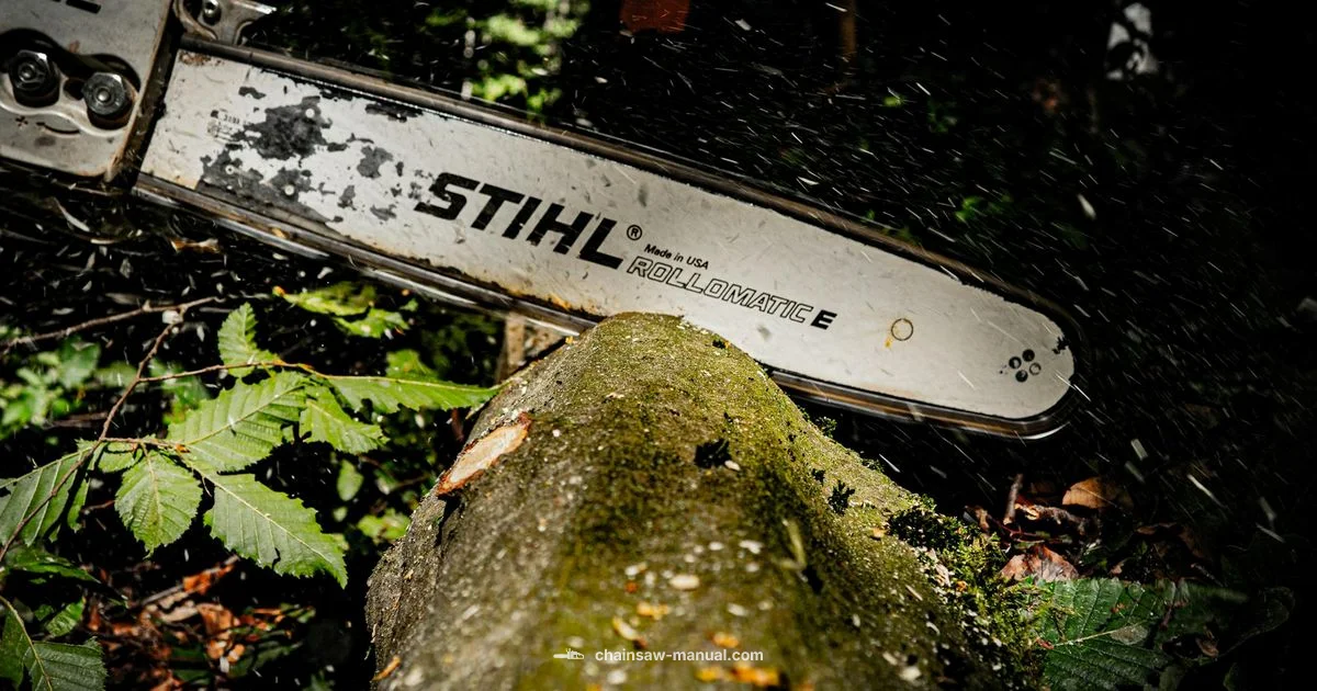 Best Chainsaw Bar 2026 Best Chainsaw Bar 2026 - Chainsaw Manual