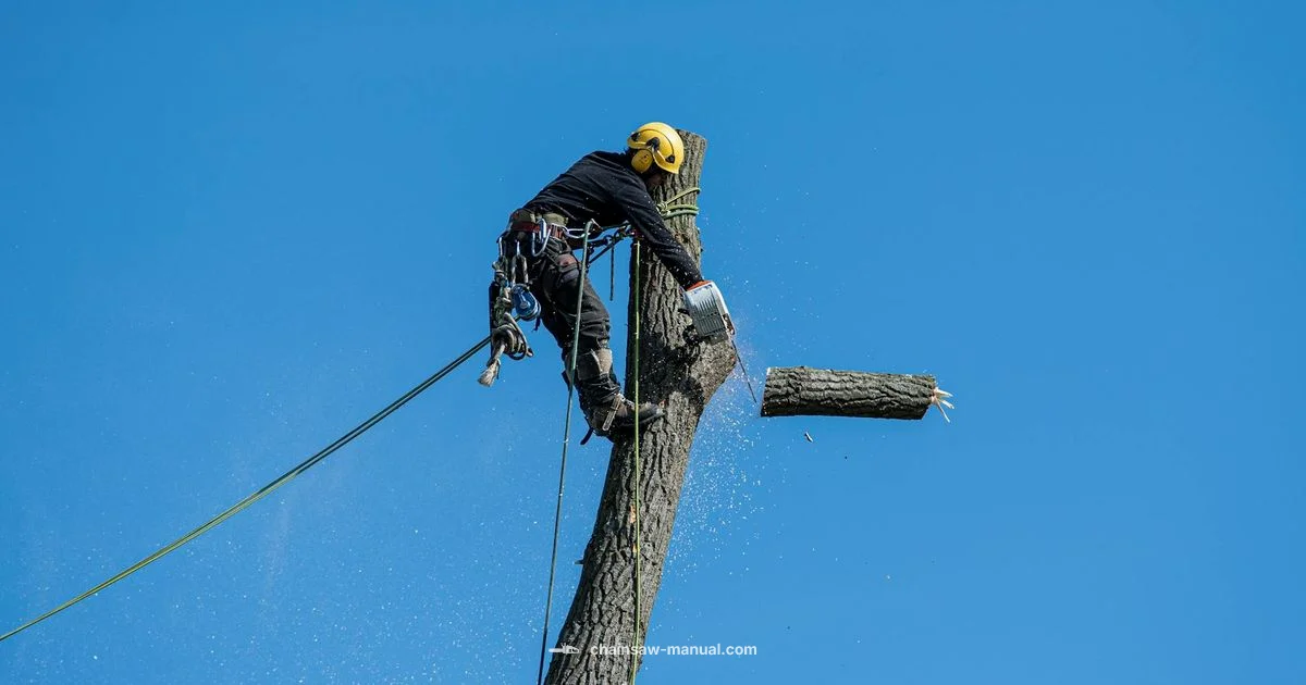 Remove a Link Safely Remove a Link Safely - Chainsaw Manual