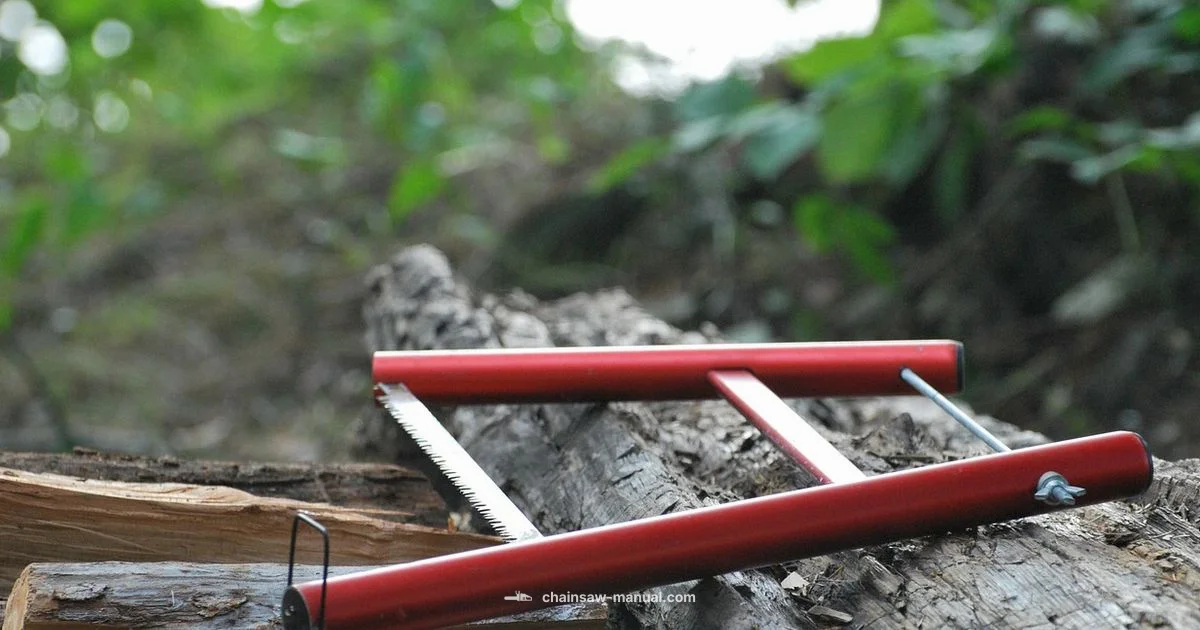 MS250 Safety & Setup MS250 Safety & Setup - Chainsaw Manual